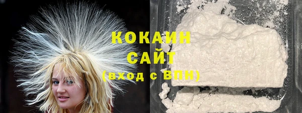 бошки Пересвет