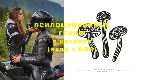 хмурый Алексеевка
